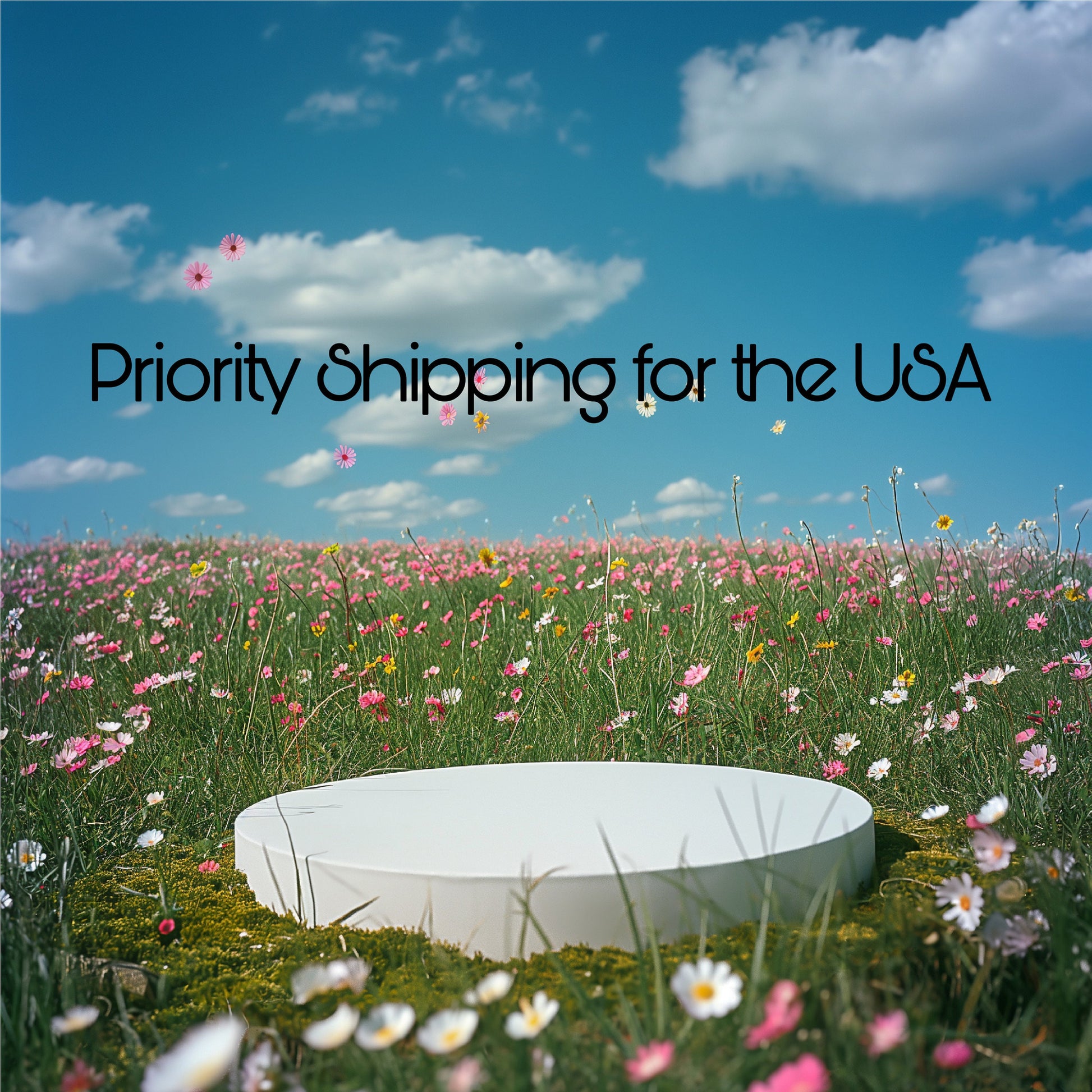 Priority Shipping Option - 2 to 4 Business Days to the USA